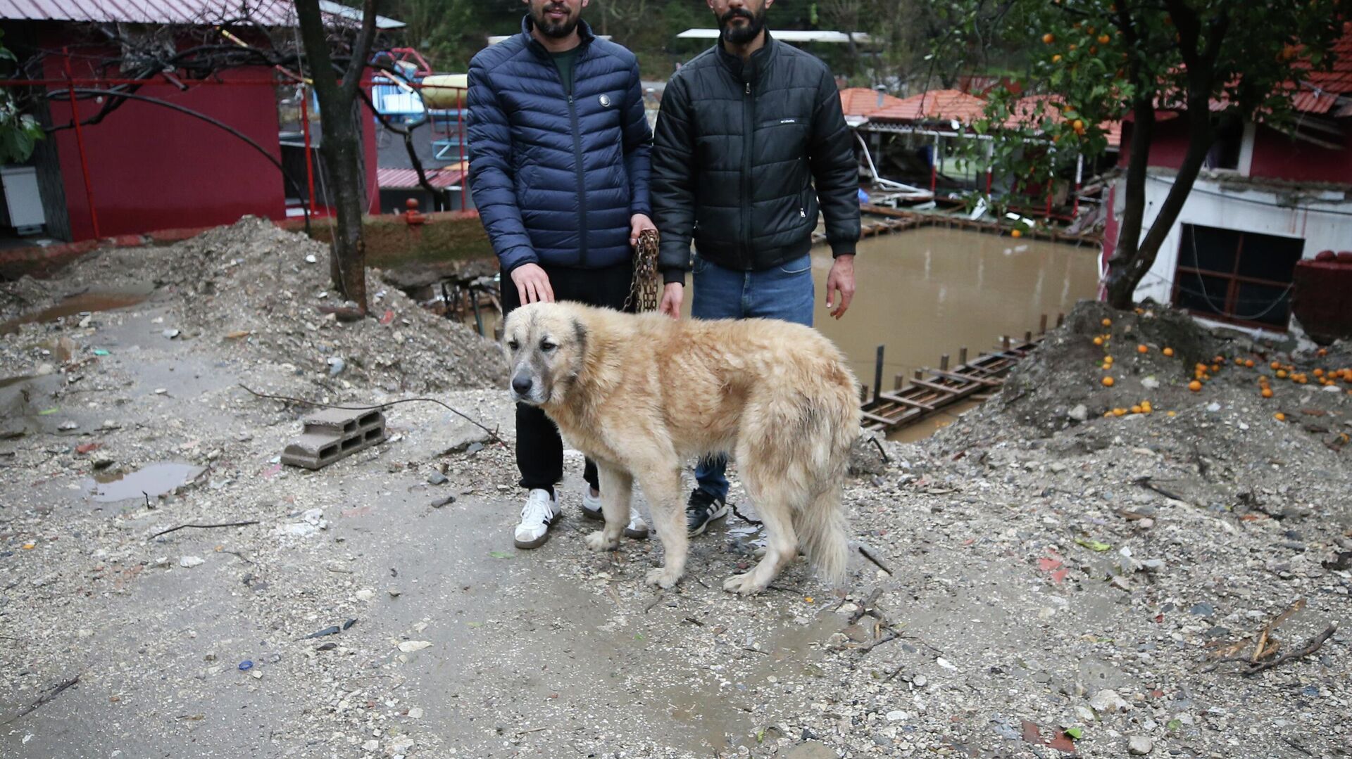 Dim Çayı'nda mahsur kalan köpeklerini kurtardılar: 'Biraz korktuk ama sonuçta yaptığımıza değdi'