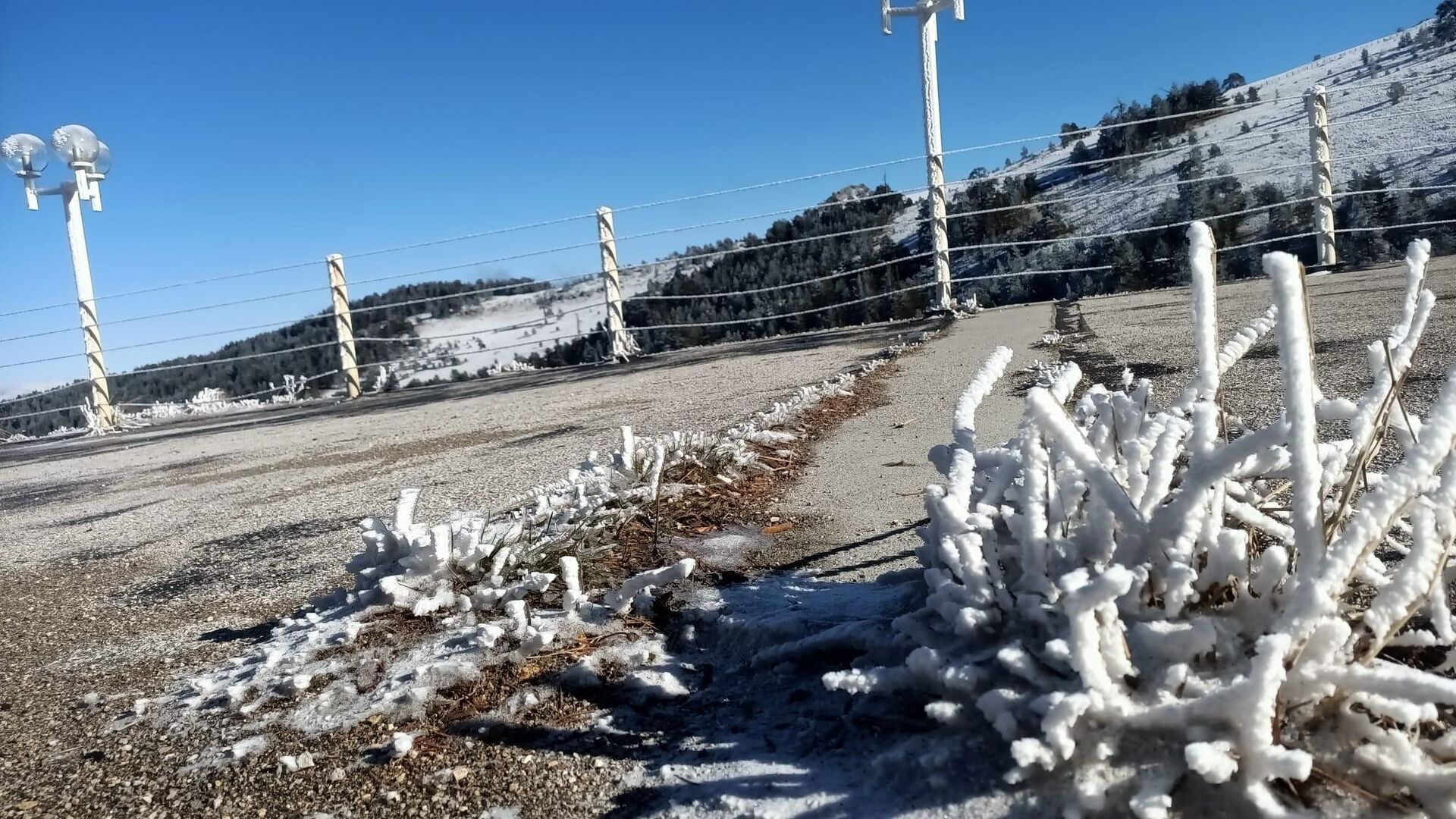 Uyarılar yapılmıştı: 174  merkezde toprak sıcaklığı sıfırın altına indi, 54 ilde meteorolojik don meydana geldi