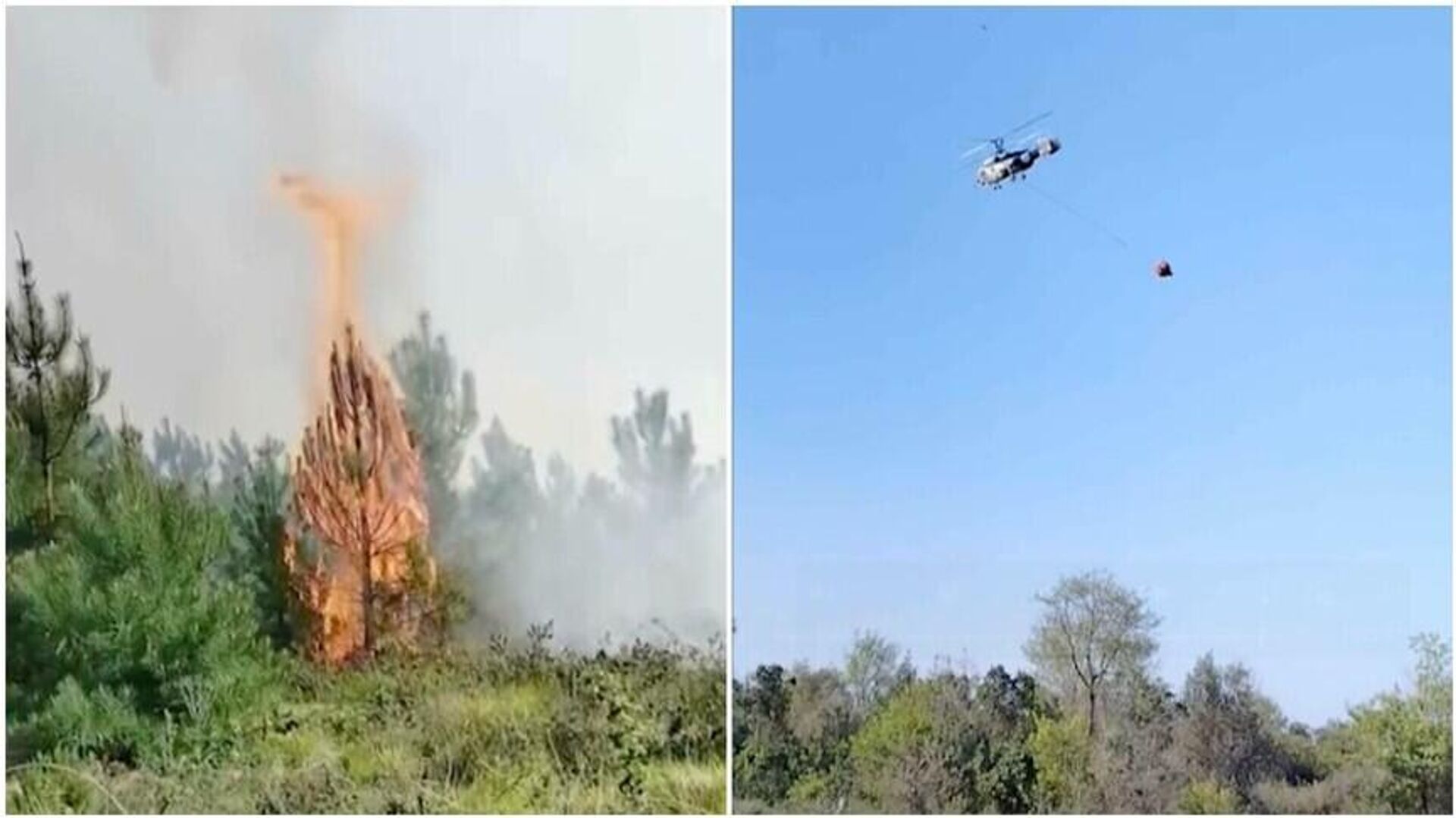 Beykoz'da orman yangını: Ekipler müdahale ediyor