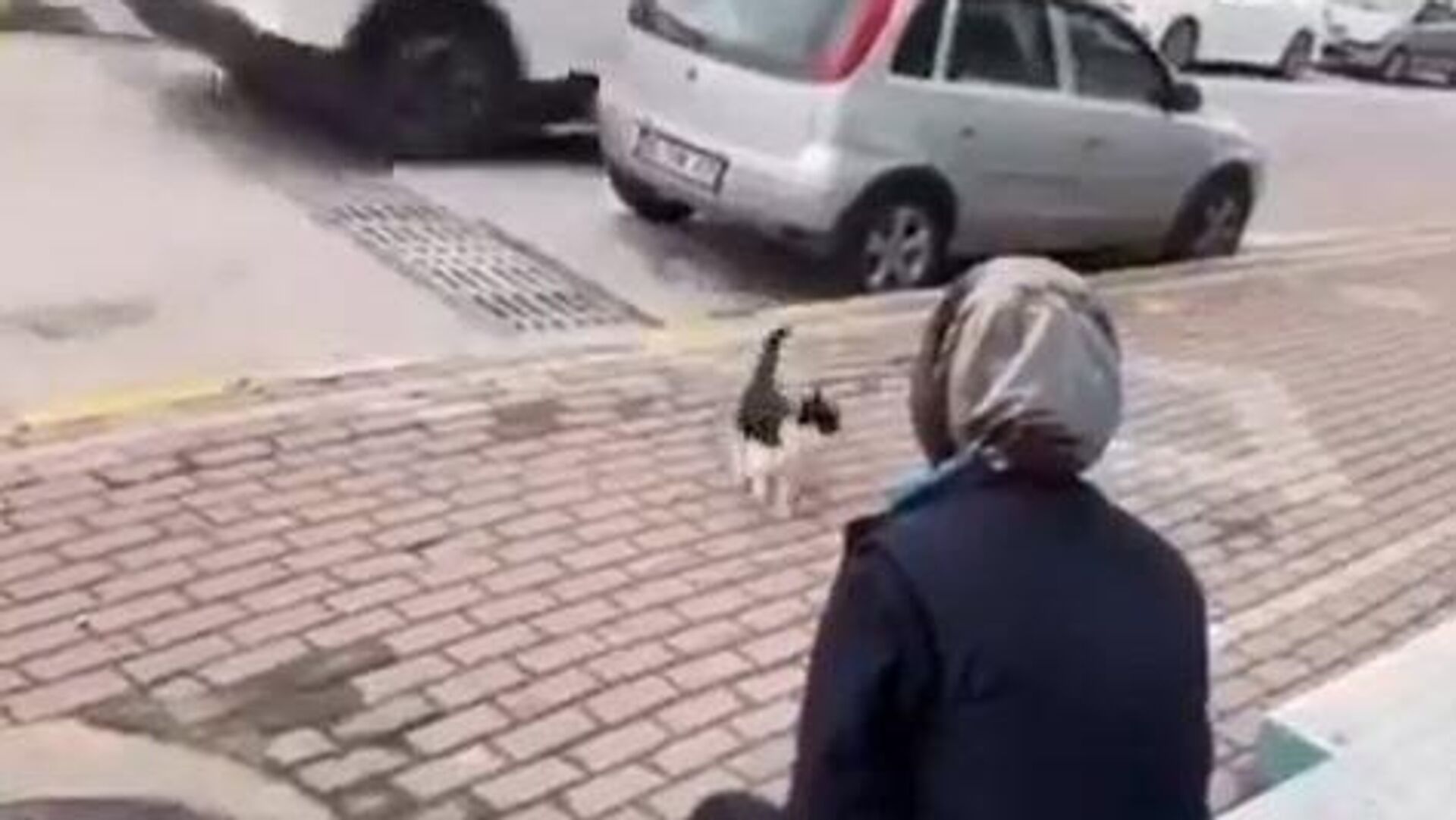 Kediyi çağırıp yağ çözücü sprey sıktı: Adli kontrolle serbest bırakıldı