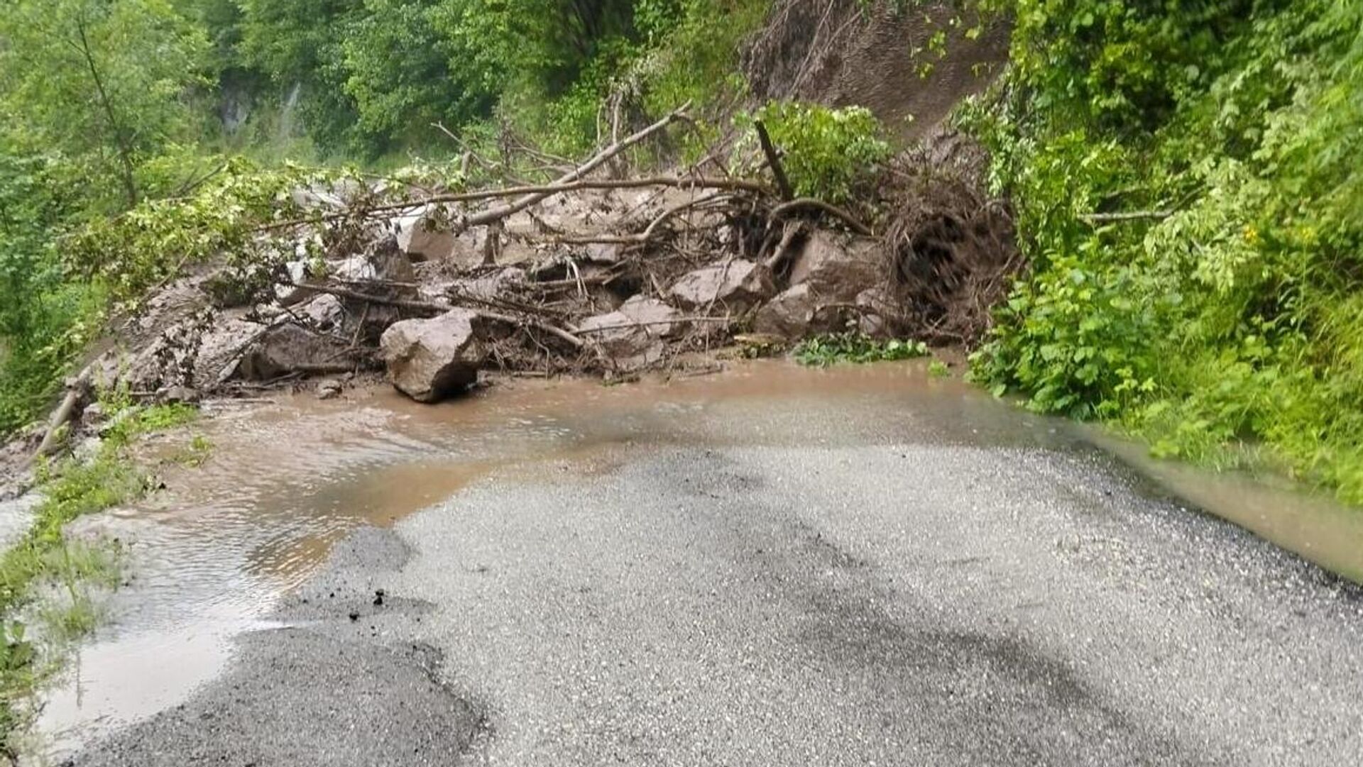 Artvin'de dereler taştı: Bazı köy yolları kapandı