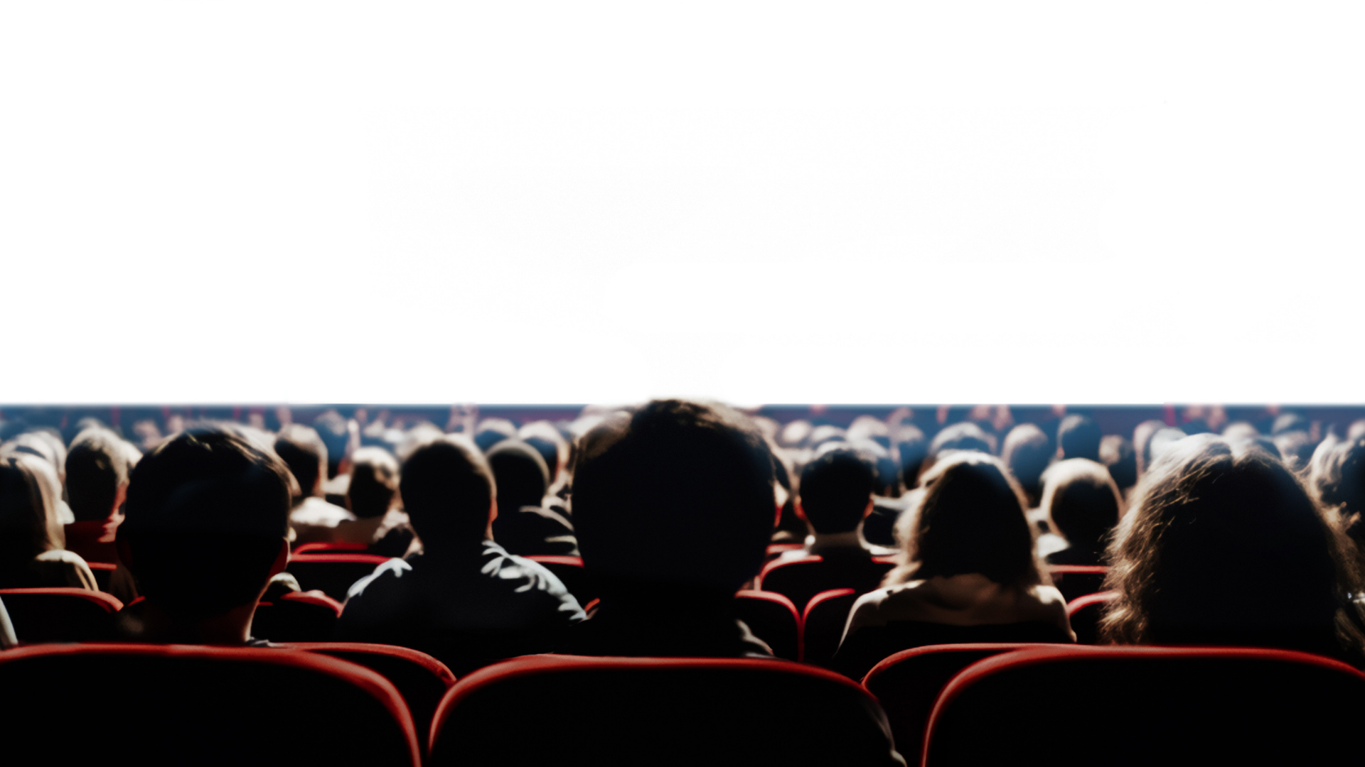TÜİK açıkladı: Türkiye'de sinema seyirci sayısı belli oldu