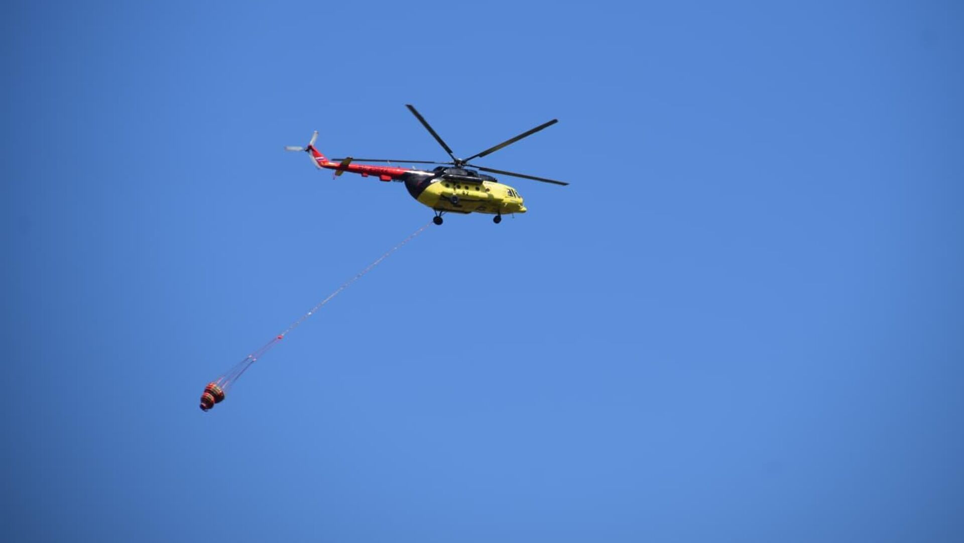 Manisa'da orman yangını: Ekipler alevleri kontrol altına aldı