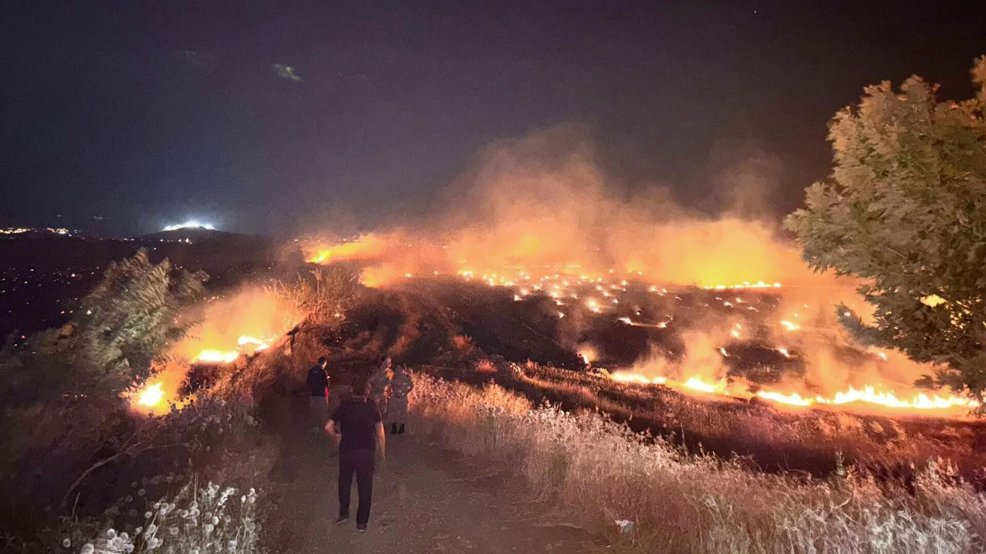 Hatay'da anız yangını çıktı: Zeytin bahçeleri zarar gördü