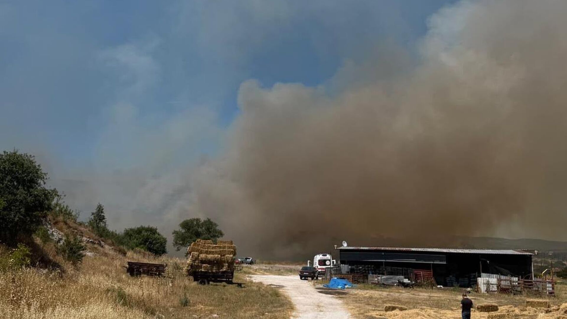 Çanakkale'de orman yangını: Ekipler müdahale etti