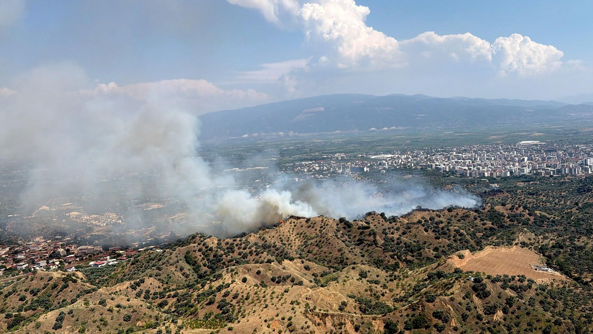 Aydın'da zeytinlik alanda yangın çıktı: 4 helikopter bölgeye sevk edildi