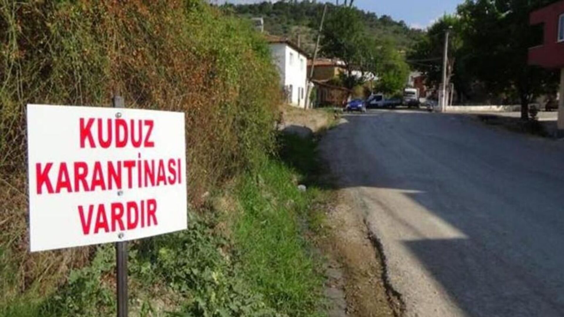 Van'da kuduz vakası tespit edildi: Mahalle karantinaya alındı