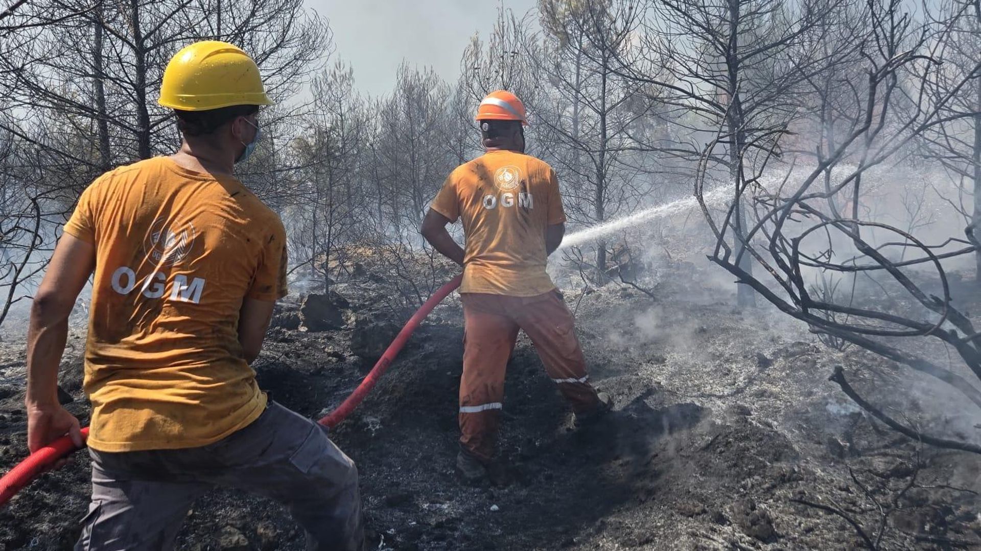 Antalya ve Balıkesir'de orman yangını: Ekipler müdahale etti