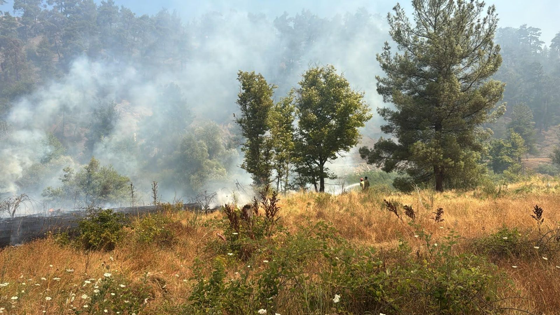 Tarım arazisinde çıkan yangın ormana sıçradı: Bursa'da yangına müdahale ediliyor
