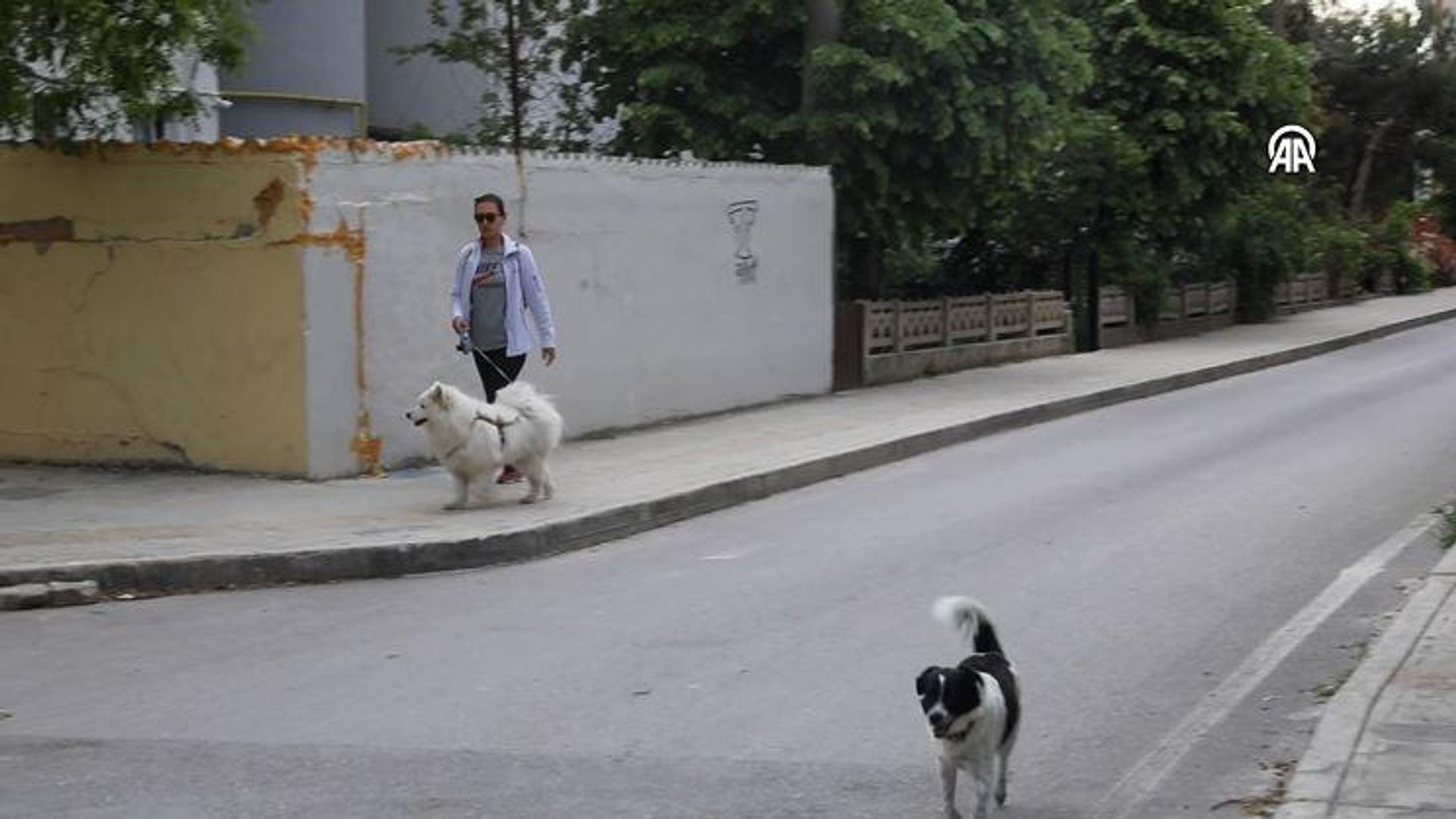 Mahkemeden trafik kazasında ölen 'Gofret' için emsal karar
