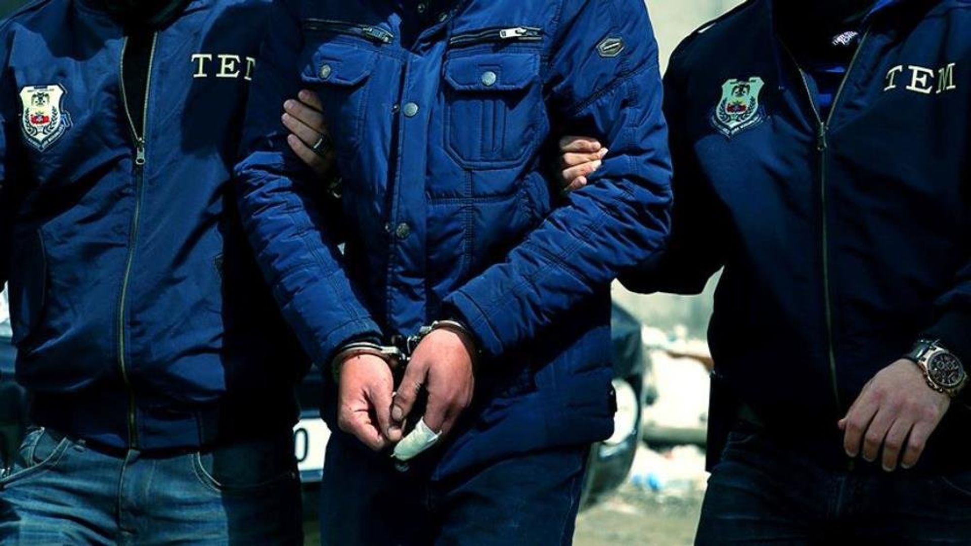 Sosyal medya ayağa kalkmıştı: Av tüfeğiyle 2 köpeği öldüren şüpheli hakkında mahkeme kararını verdi