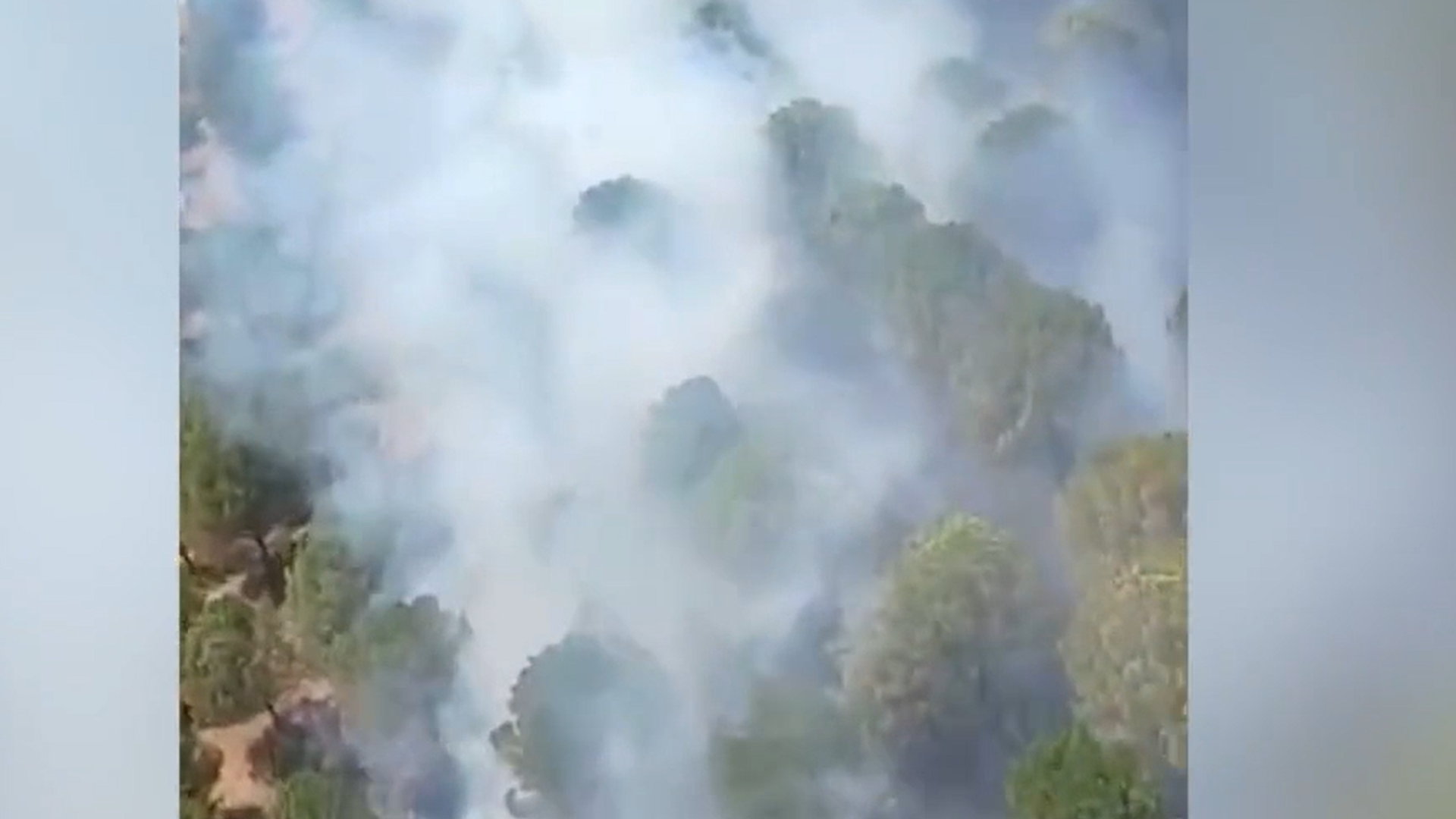 Balıkesir'de arazide başlayan yangın ormanlık alana sıçradı