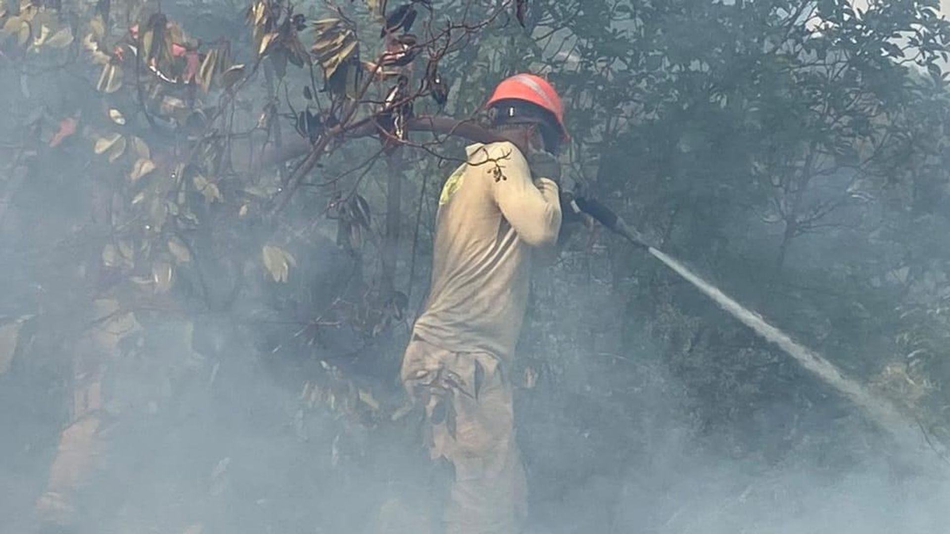 Kaş'ta orman yangını çıktı: Ekiplerin müdahalesi sürüyor