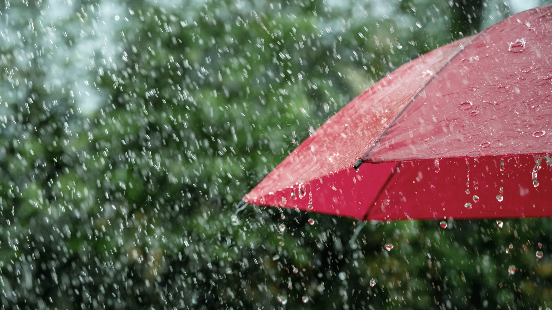 Meteoroloji uyardı: Sağanak yağış ve kuvvetli rüzgar geliyor