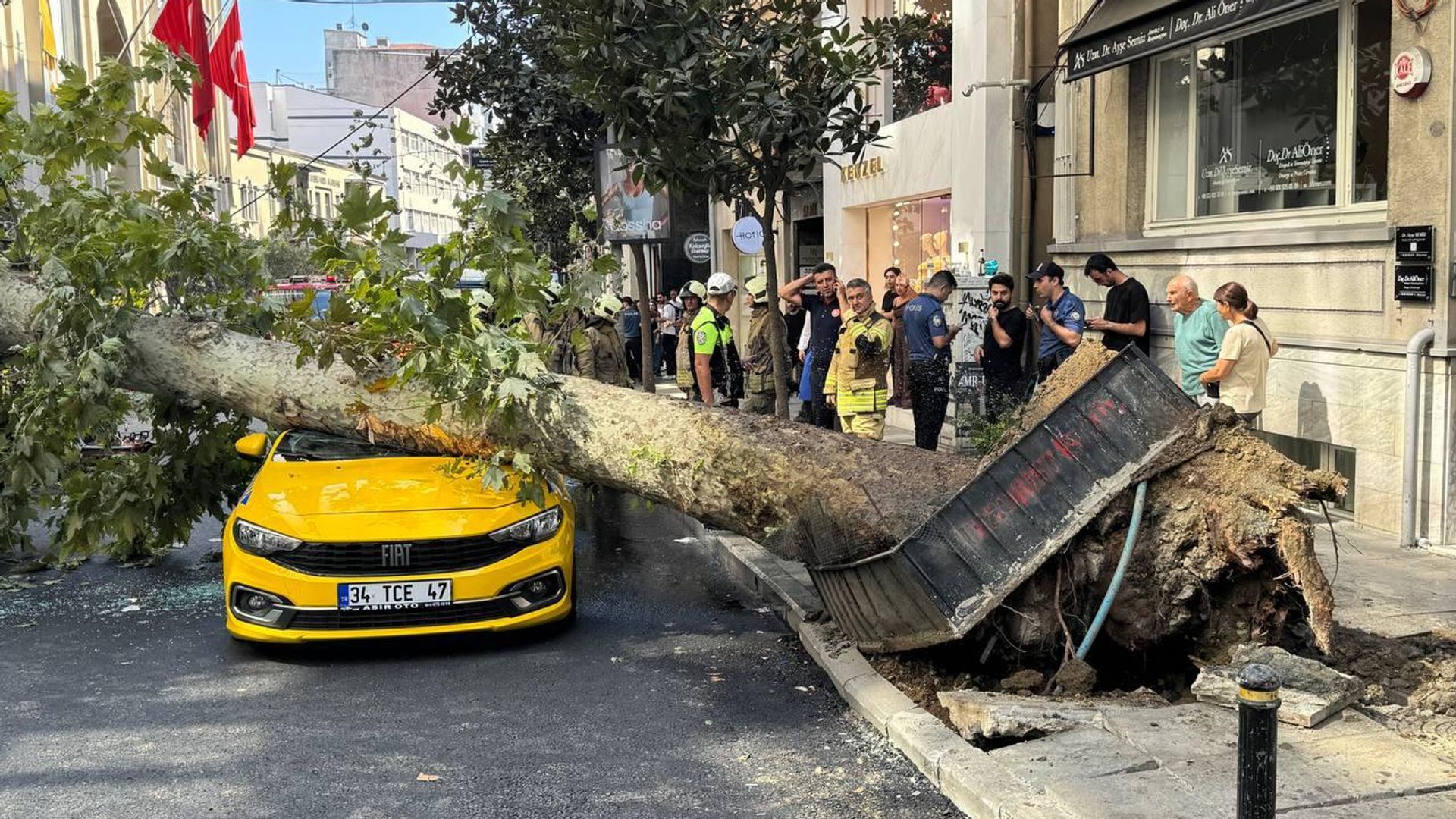 Nişantaşı'nda tehlike ucuz atlatıldı: Kökünden devrilen ağaç yoldan geçen araçların üzerine devrildi