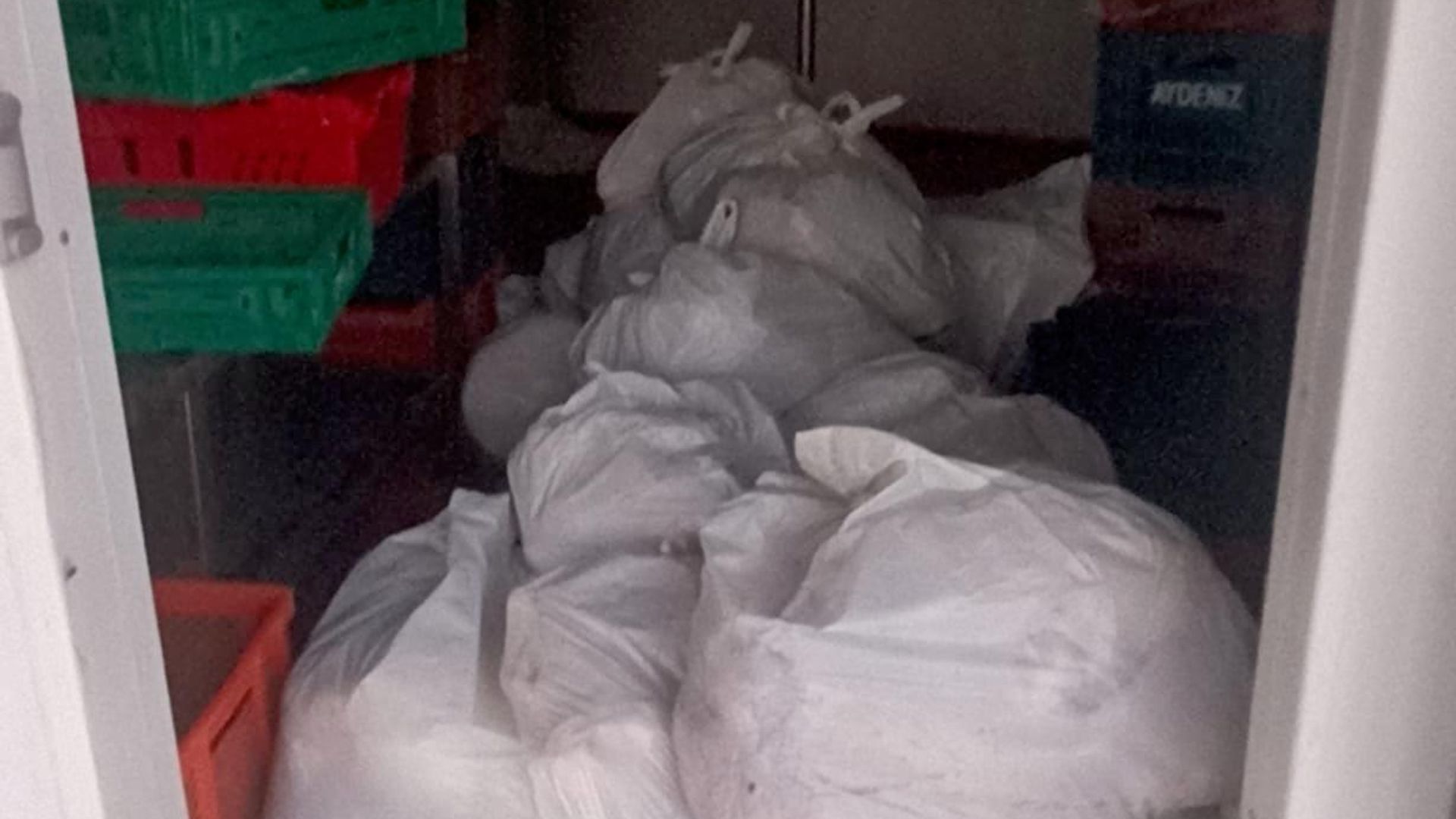 Bodrum'da kasap deposundan 400 kilo bozuk et çıktı
