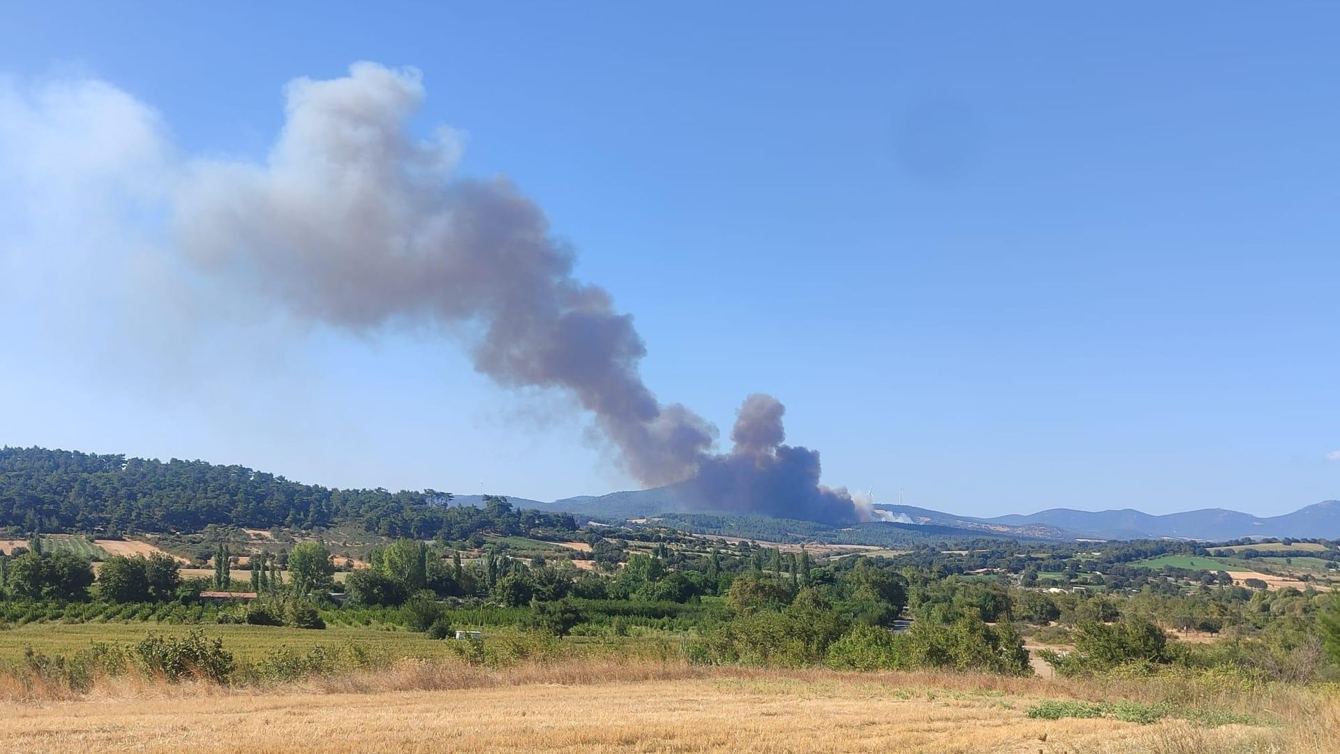 Çanakkale'de orman yangını: Ekipler bölgeye sevk edildi