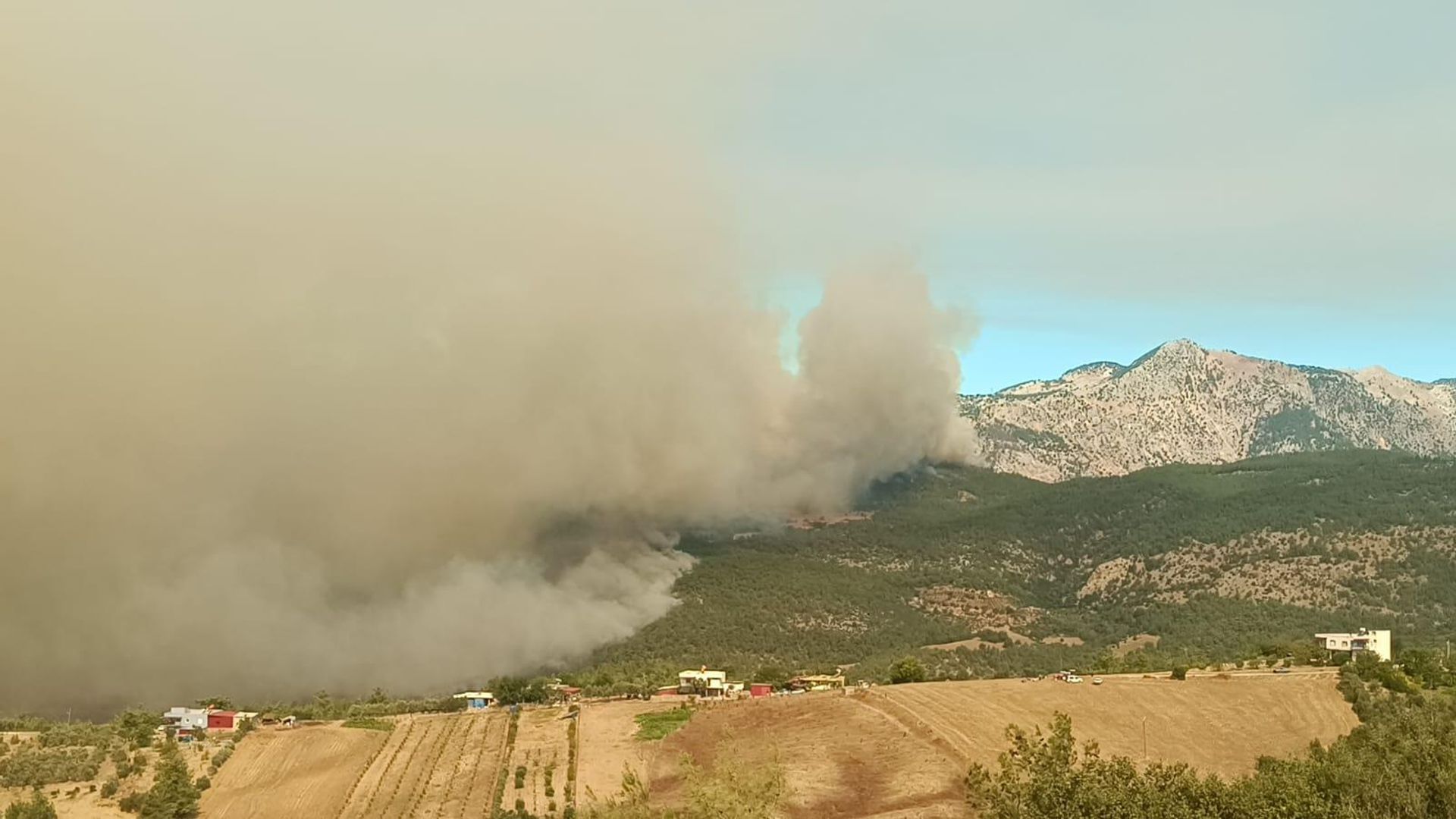 OGM açıkladı: Üç ildeki yangında son durum