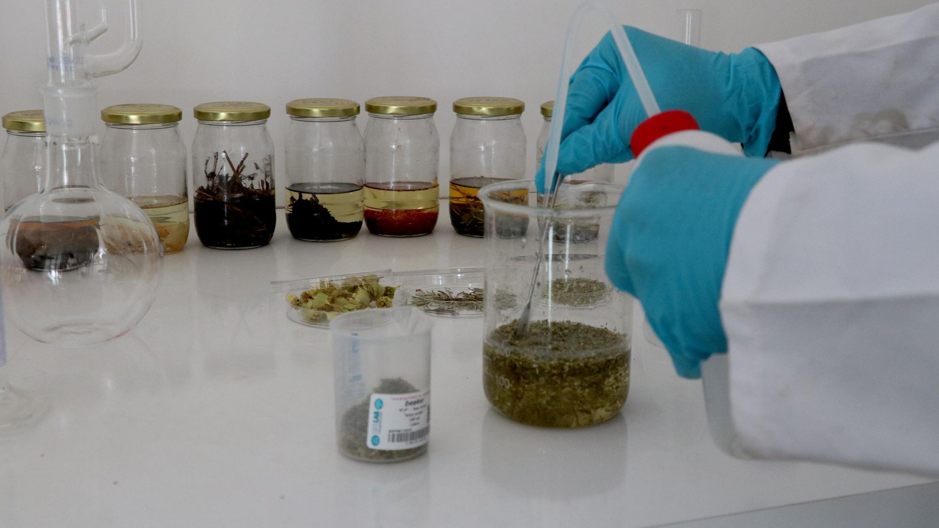 Gıda sektöründe yeni düzenleme: Domuz ve böcekli kaynaklı aroma vericilere yasak, 'doğal' ifadesine de kısıtlama geldi