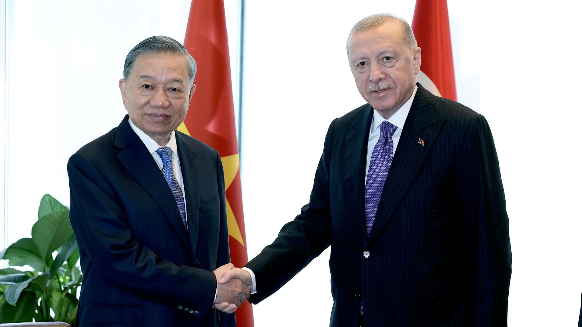 Cumhurbaşkanı Erdoğan, Vietnam Devlet Başkanı To Lam'la görüştü
