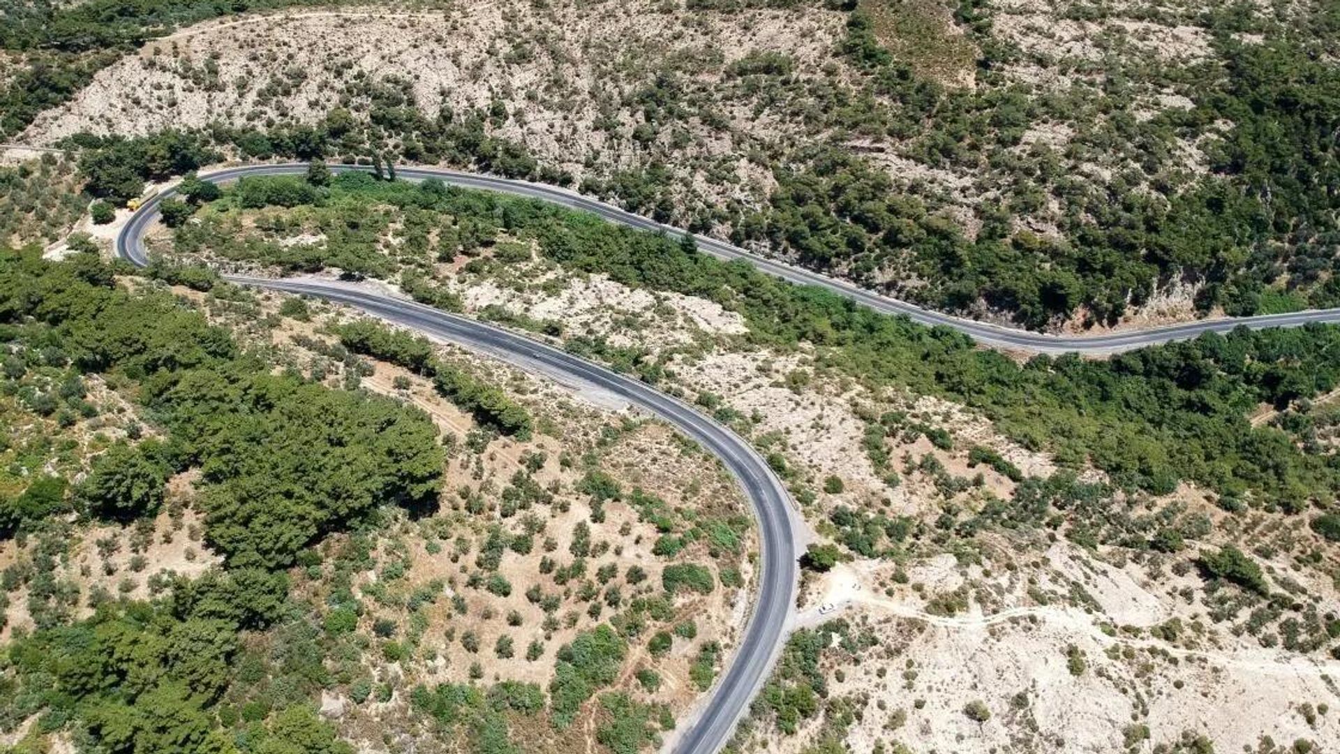 Kaz Dağları'nda yeni bir böcek türü bulundu