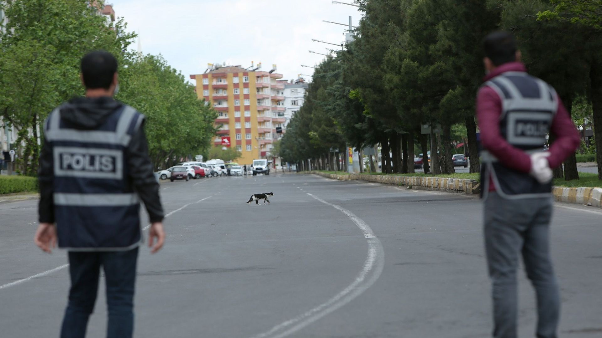 İçişleri Bakanı Çiftçi: Terörsüz Türkiye süreci içinde Doğu ve Güneydoğu'da 2 bin 63 yol kontrol noktası kaldırıldı